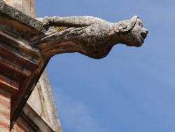 Photo paysage et monuments, Saint-Sulpice - église St Sulpice 13 Em Siècle ( Gargouille )