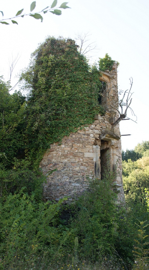 Photo Teillet - Ruines du Château de Granval 17 Em Siècle