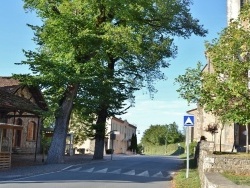 Photo paysage et monuments, Vaour - la commune