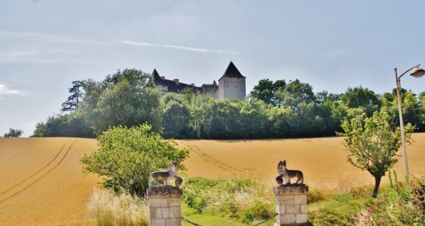 Photo Goudourville - Château