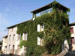 Photo paysage et monuments, Monclar-de-Quercy - La maison de lierre