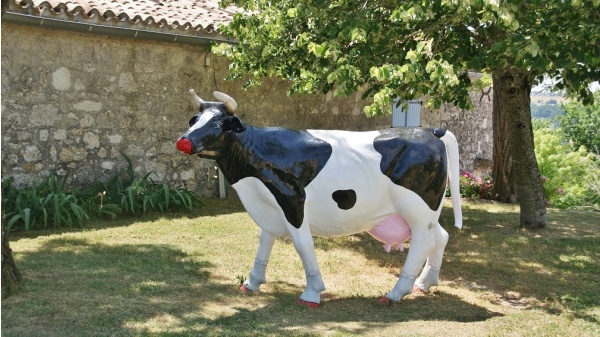 Photo Montjoi - la vache