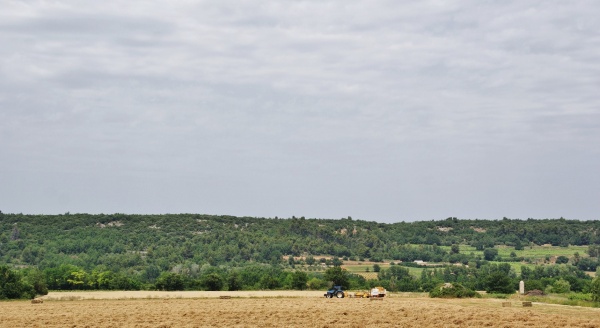 Photo Esparron - Campagne d'Esparron