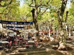 Photo paysage et monuments, Gonfaron - La Commune