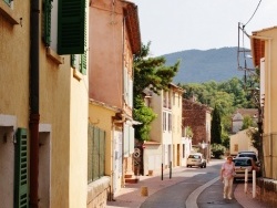 Photo paysage et monuments, Gonfaron - La Commune