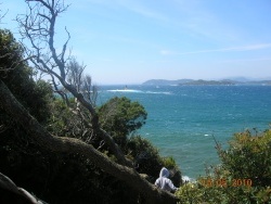 Photo paysage et monuments, Hyères - Porquerolles