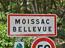 Photo paysage et monuments, Moissac-Bellevue - moissac bellevue (83630)