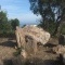 Photo Roquebrune-sur-Argens - Dolmen de la Gaillarde (Roquebrune)