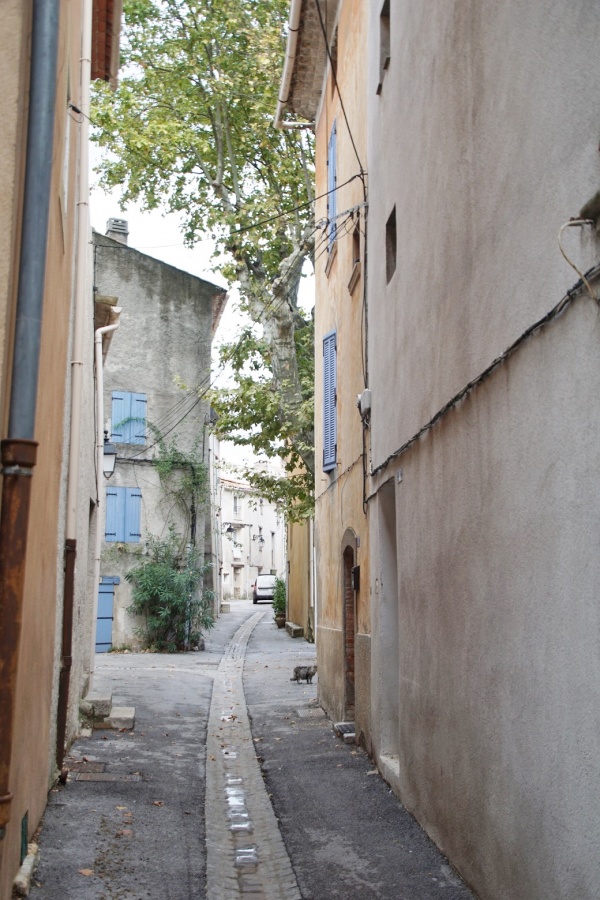 Photo La Roquebrussanne - Le Village