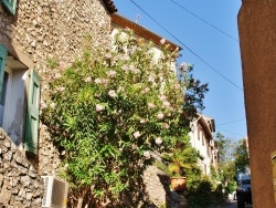 Photo paysage et monuments, Vinon-sur-Verdon - Le Village