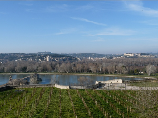 Photo Avignon - vue du rocher des doms