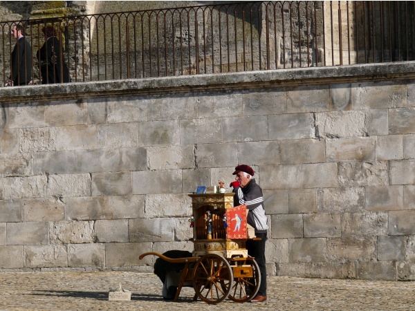 Photo Avignon - joueur d'orgue de barbarie place du palais des papes