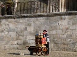 Photo paysage et monuments, Avignon - joueur d'orgue de barbarie place du palais des papes