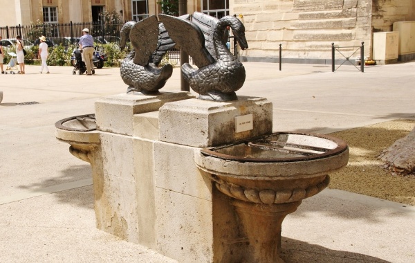 Photo Carpentras - la fontaine