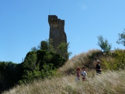 Photo paysage et monuments, Châteauneuf-du-Pape - le  château