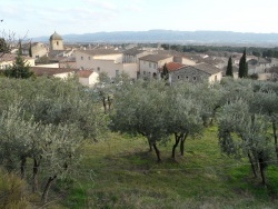 Photo paysage et monuments, Mérindol - Mérindol en Luberon et ses oliviers !