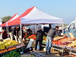 Photo paysage et monuments, Mornas - Mornas. Le marché du Dimanche.