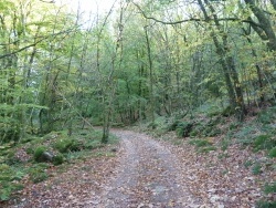 Photo paysage et monuments, Le Thor - VTT bois des échelles