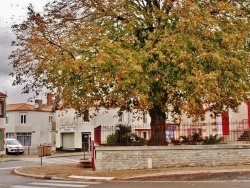 Photo paysage et monuments, Grosbreuil - La Commune