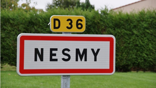 Photo Nesmy - nesmy (85310)