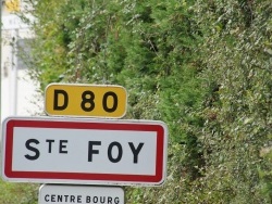Photo paysage et monuments, Sainte-Foy - Sainte Foy (85150)