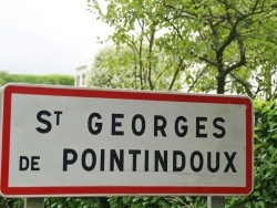 Photo paysage et monuments, Saint-Georges-de-Pointindoux - Georges (85150)