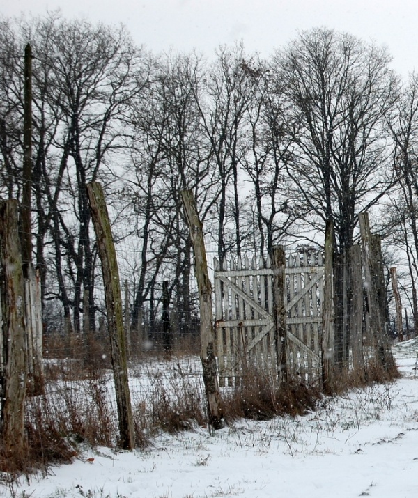 Photo La Bussière - Jeudi 11 Fevrier 10 un voile blanc recouvre notre petit village