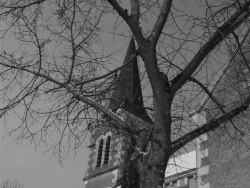 Photo paysage et monuments, La Bussière - Jeudi 11 Fevrier 10 un voile blanc recouvre notre petit village