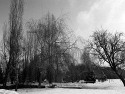 Photo paysage et monuments, La Bussière - Jeudi 11 Fevrier 10 un voile blanc recouvre notre petit village
