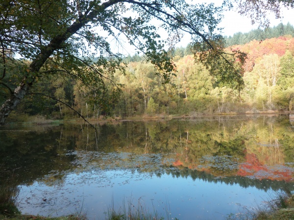 Photo Saint-Sulpice-Laurière - etang près de la Font du Loup