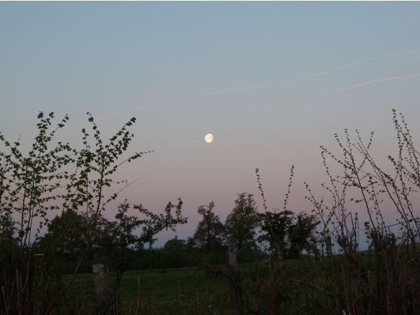 Photo Saint-Sulpice-Laurière - lune brillante au matin d'avril