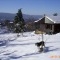 Photo Saint-Sulpice-Laurière - chalet Gaudeix , Helliot , en jenvier 2007,