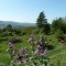 Photo Saint-Sulpice-Laurière - vue sur St Sulpice, Bersac, depuis le milieu de Gaudeix