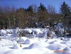 Photo paysage et monuments, Saint-Sulpice-Laurière - Gaudeix après la tempête de neige