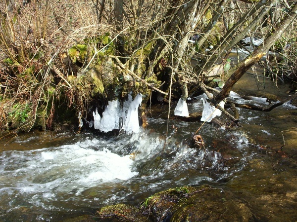 Photo Saint-Sulpice-Laurière - ruisseau Le Rivalier avec la glace