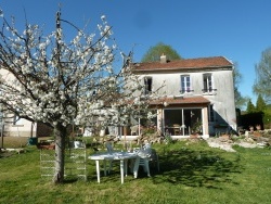Photo faune et flore, Saint-Sulpice-Laurière - printemps fleuri en Limousin, on attend les cerises