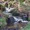 Photo Saint-Sulpice-Laurière - petite cascade Bois des Echelles
