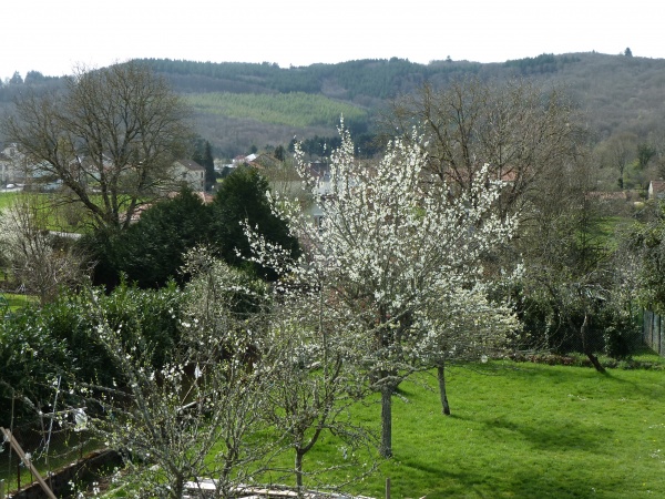 Photo Saint-Sulpice-Laurière - Bois des Echelles depuis notre maison