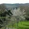 Photo Saint-Sulpice-Laurière - Bois des Echelles depuis notre maison