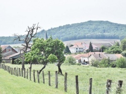 Photo paysage et monuments, Ainvelle - le village
