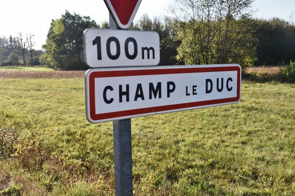 Photo Champ-le-Duc - champ le duc (88600)