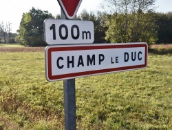 Photo paysage et monuments, Champ-le-Duc - champ le duc (88600)