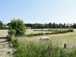 Photo paysage et monuments, Châtillon-sur-Saône - la commune