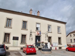 Photo paysage et monuments, Docelles - la Mairie