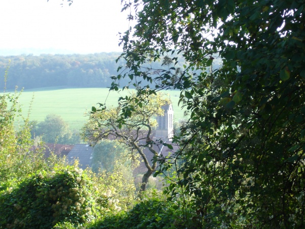 Photo Estrennes - à travers......