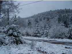 Photo paysage et monuments, Évaux-et-Ménil - Neige en forêt Evaux et menil