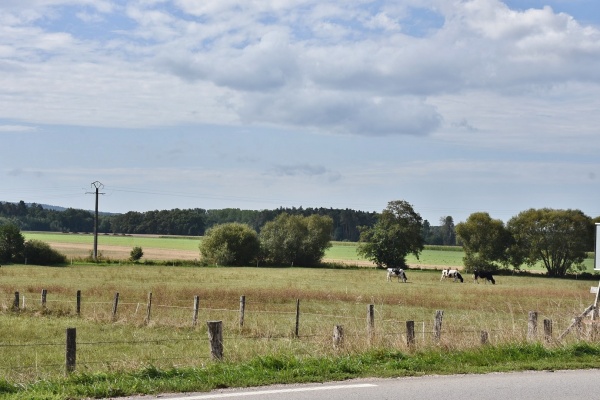 Photo Gugnécourt - le village