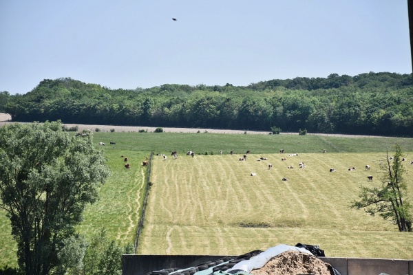 Photo Provenchères-lès-Darney - la nature