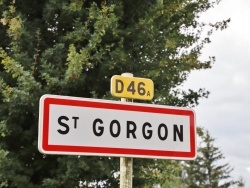 Photo paysage et monuments, Saint-Gorgon - Saint Gorgon (88700)