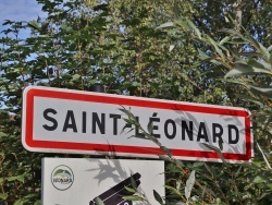 Photo paysage et monuments, Saint-Léonard - Saint leonard (88650)